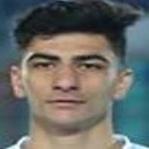 Amirmohammad RAZAGHINIA