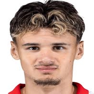 Kerim ALAJBEGOVIC