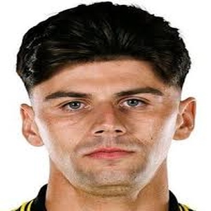 Max ARFSTEN